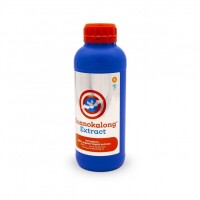 Guanokalong Extract