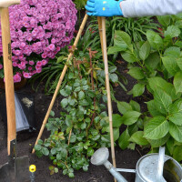 Plant!T Bambusstab