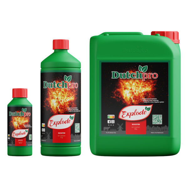 Dutchpro Explode